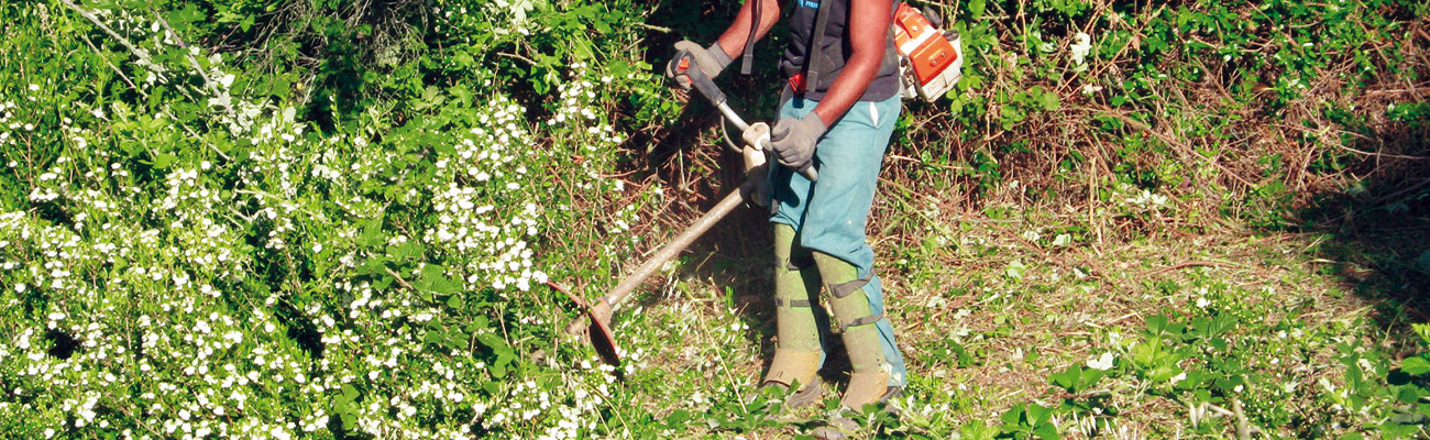 Débroussaillage Professionnel à Yerres (91330) – Van-Den-Brocke Espace Vert, Votre Spécialiste en Entretien d'Espaces Verts