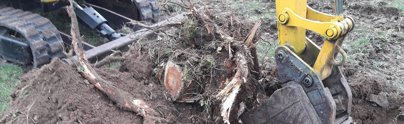 Pose de Clôtures dans l'Essone (91) – Van-Den-Brocke Espace Vert, Votre Expert en Aménagement Extérieur en Seine-et-Marne