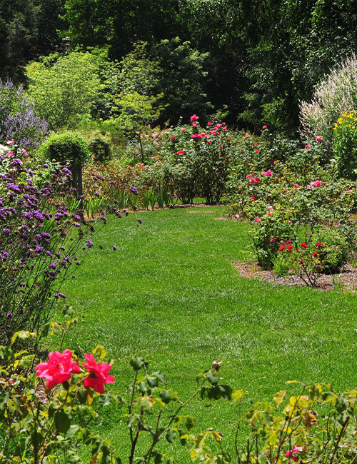 Nos Services de Paysagiste : Entretien Professionnel d'Espaces Verts à Yerres (91330) et dans l'Essone (91)