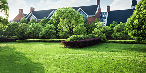 Paysagiste à Yerres (91330) dans l'Essone (91)