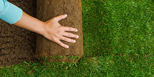 Pose de pelouse et gazon à Yerres (91330) dans l'Essone (91)